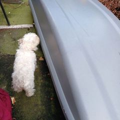 roof box