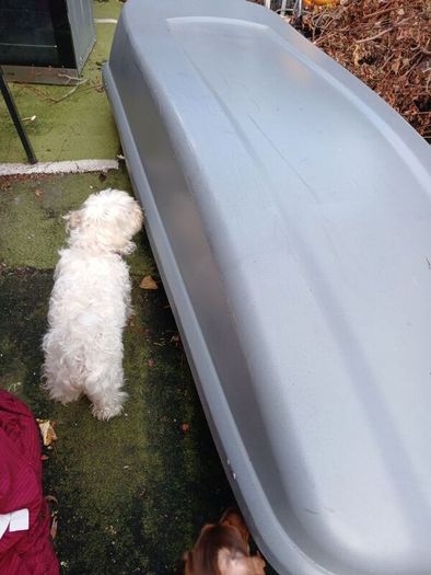 roof box