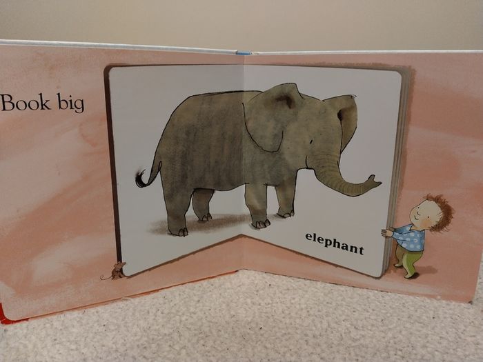 Books Always Everywhere by Jane Blatt HARDBACK BOARD BOOK