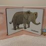 Books Always Everywhere by Jane Blatt HARDBACK BOARD BOOK Image 4