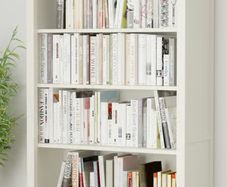 Ikea Hemnes Bookcase