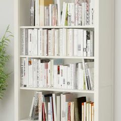 Ikea Hemnes Bookcase