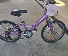 Bentini Vixen 20" Kids Bicycle