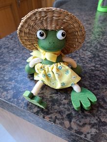 Frog Toy