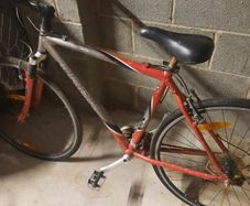 ladies trek bike