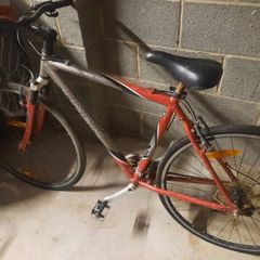 ladies trek bike