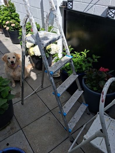 2 step ladders