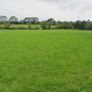 17 Silage Bales remaining for quick sale Image 4