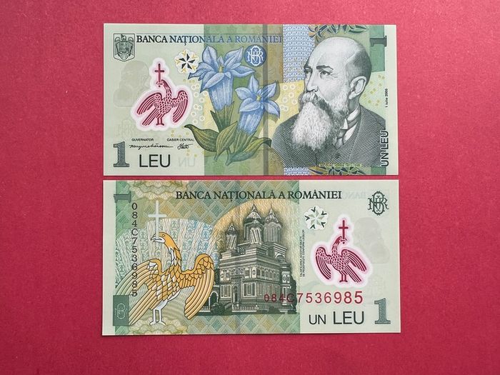 Romania. I Leu  2008  Pick 117d. Polymer / Plastic .  (uncirculated )