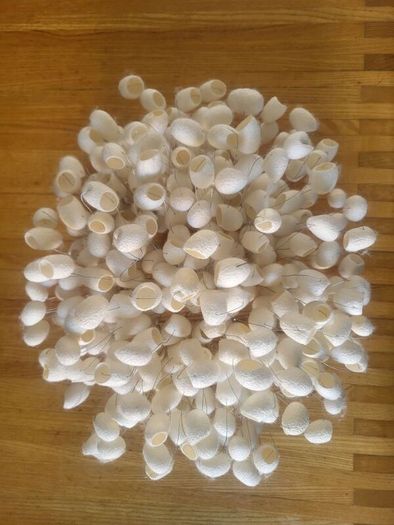 Ango Chrysalis wall sconse