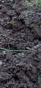 Top soil 6 cubic meters