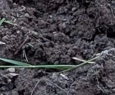 Top soil 6 cubic meters