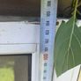 2 Doors 1 window Image 2