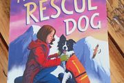 the mountain rescue dog