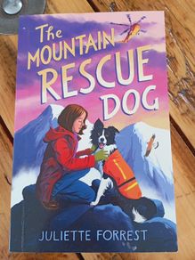 the mountain rescue dog
