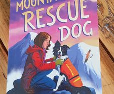the mountain rescue dog