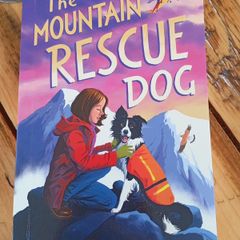 the mountain rescue dog