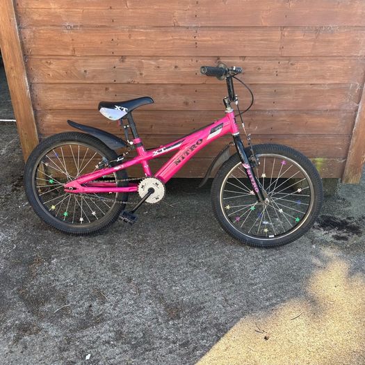 20 inch BMX Bike