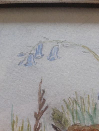 Watercolour.