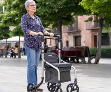 Lett Go Shopping Trolley/Walker