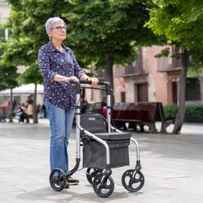 Lett Go Shopping Trolley/Walker
