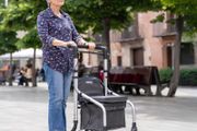 Lett Go Shopping  Rollator/ Walking Trolley