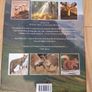 3 X Books Image 3
