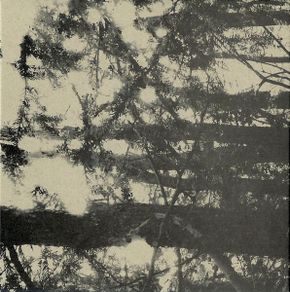 Peter Wright 2CD - At Last A New Dawn