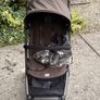 Cybex orfeo chocolate brown stroller buggy Image 2