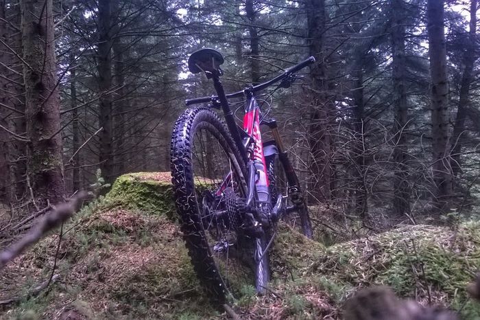 s-works stumpjumper
