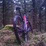 s-works stumpjumper Image 3