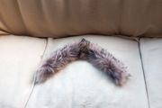 Fur Collar (Genuine Fur) Coyote