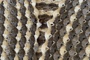 Vintage crochet shawl