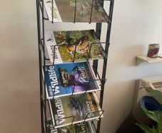 Shop magazines rack