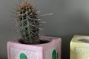 flower pots