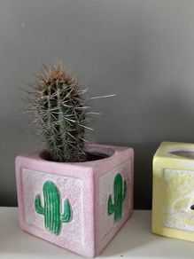 flower pots