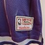 Toronto raptors basketball jersey Image 2
