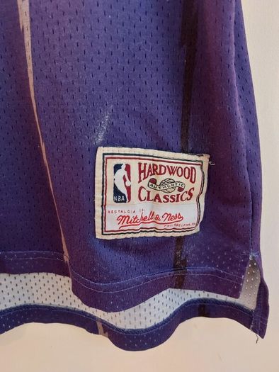 Toronto raptors basketball jersey