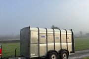 12x6 ifor Williams cattle trailer