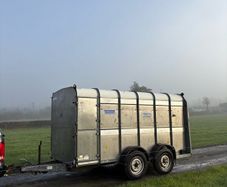 12x6 ifor Williams cattle trailer