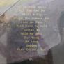 Willy Mason CD - Where The Humans Eat Image 2