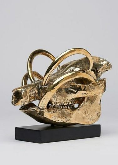 Wild Pig Skull (30cm) - Polished Bronze