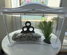 6.7 litre fish tank, filter, heater & accessories