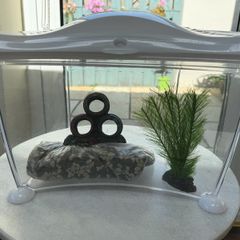 6.7 litre fish tank, filter, heater & accessories