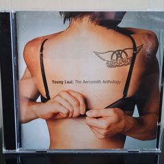 Aerosmith Young Lust: The Aerosmith Anthology 2 CD Album