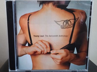Aerosmith Young Lust: The Aerosmith Anthology 2 CD Album