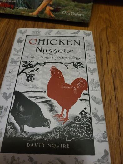 keeping hens