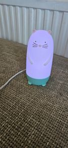 LED night light