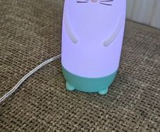 LED night light