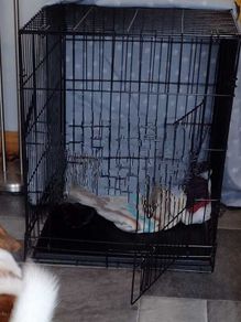 Dog cage with cover